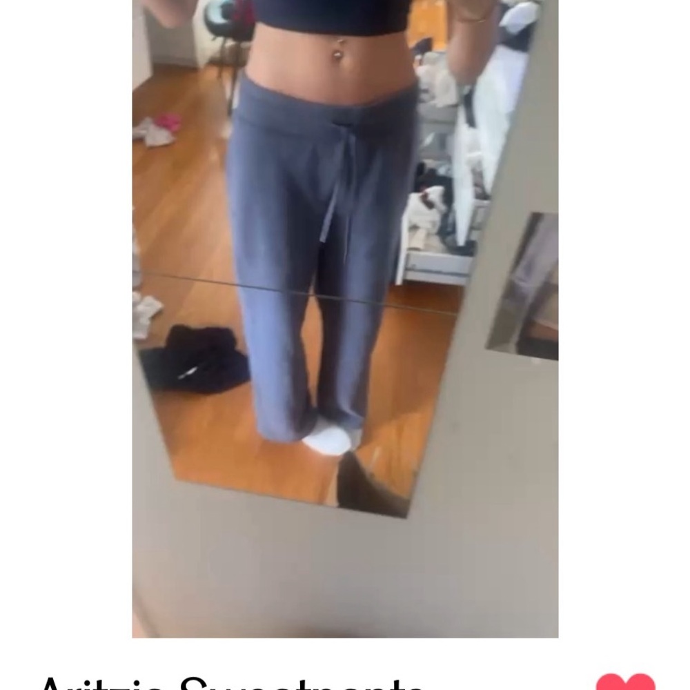 Aritzia Gray Wide Leg Pants